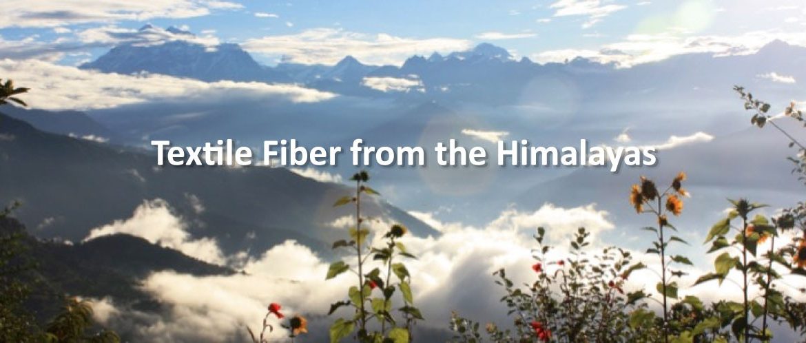 A Social and Sustainable Approach to Raw Material Innovation: Himalayan Wild Fibers