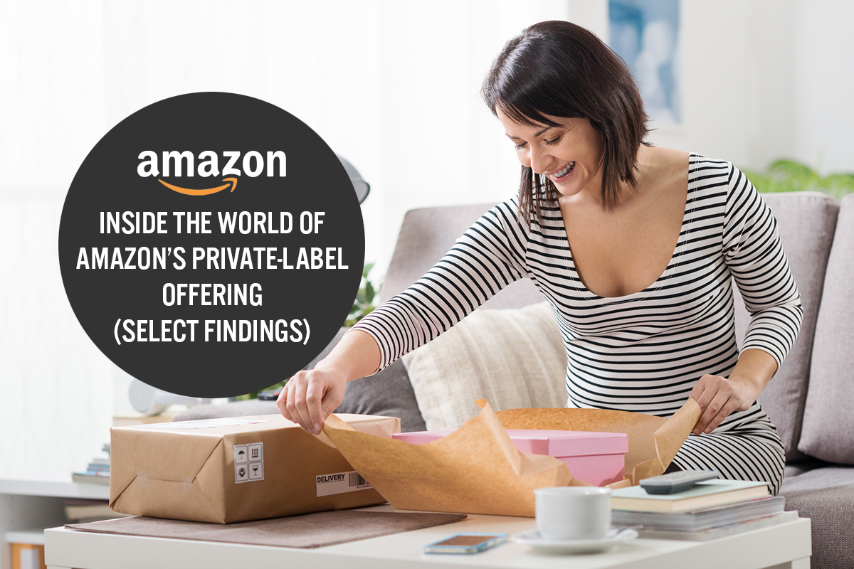 Free Data Analysis Report: Inside the World of Amazon’s Private-Label ...