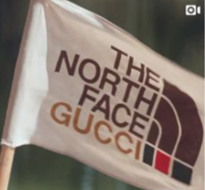 The North Face x Gucci