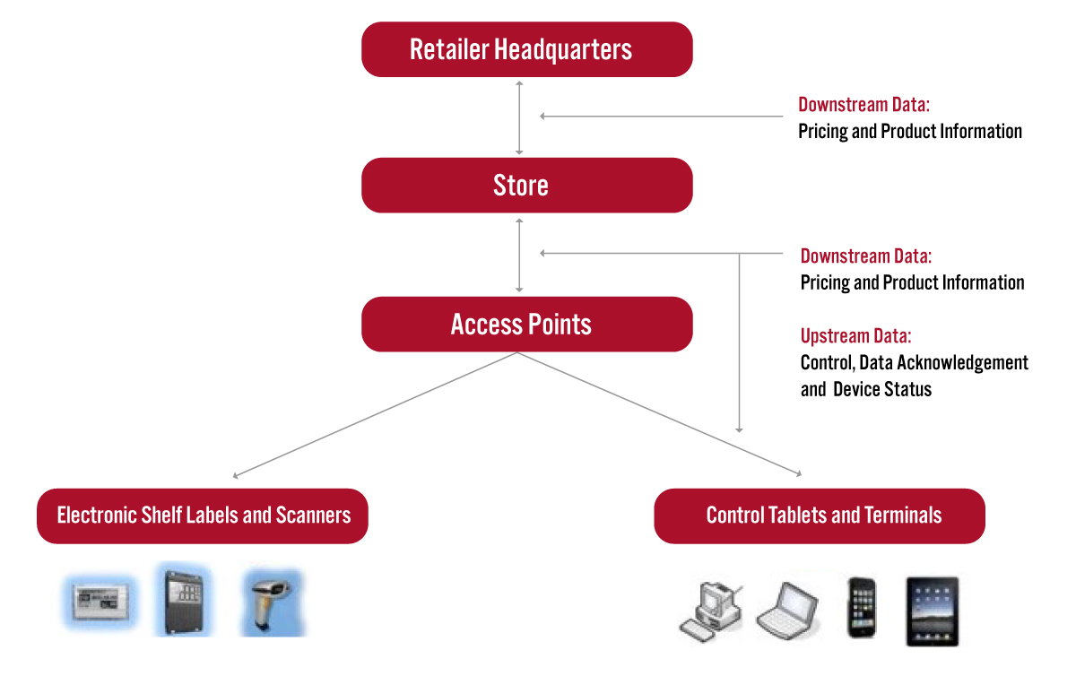 Functional Diagram of an ESL Platform