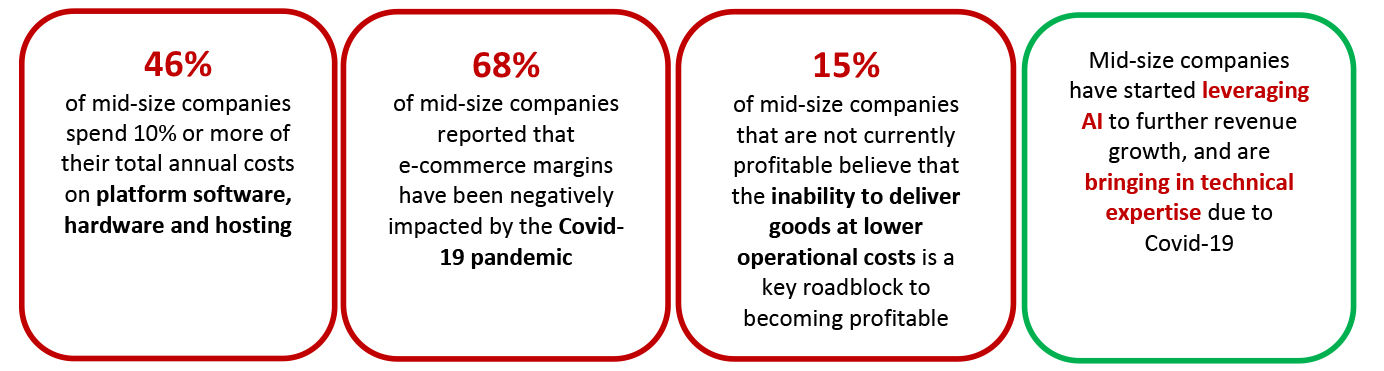 Addressing Profitability Issues for Mid-Size E-Commerce Players: Key Survey Findings