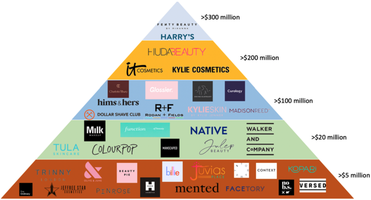 Figure 2. US DNVB Beauty and Personal Care Sector