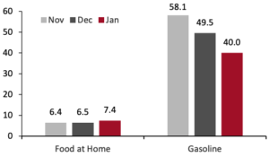 Consumer Prices for Food at Home and Gasoline: YoY % Change