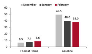 Consumer Prices for Food at Home and Gasoline: YoY % Change