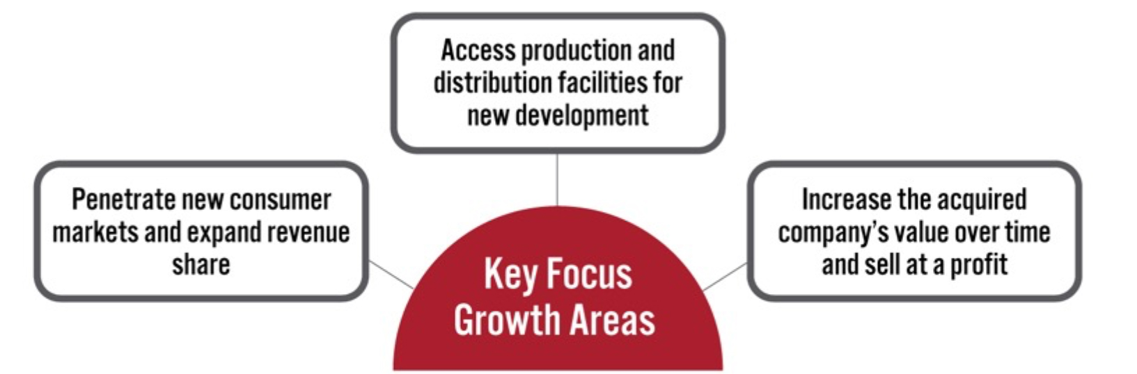 Key Focus Areas for Growth Through M&A in the Jewelry Industry