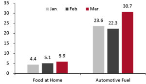 Consumer Prices for Food at Home and Automotive Fuel: YoY % Change