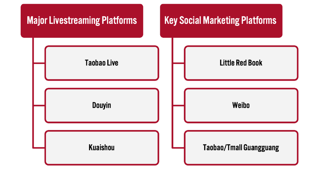 Figure 1. Selected Major Livestreaming and Social Marketing Platforms for Singles’ Day