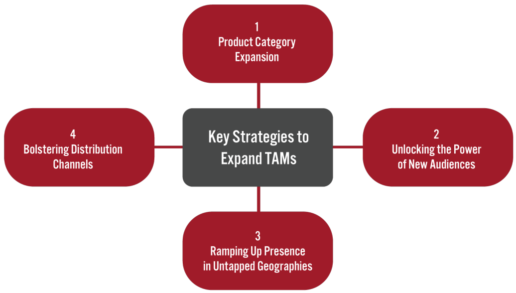 Figure 2. Key Strategies Adopted by Apparel and Footwear Specialists to Expand Their TAMs