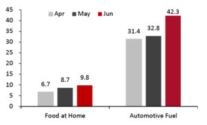 Consumer Prices for Food at Home and Automotive Fuel: YoY % Change