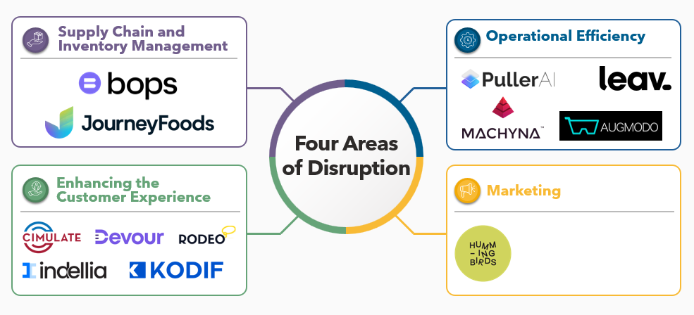 A diagram of different areas of disruption Description automatically generated