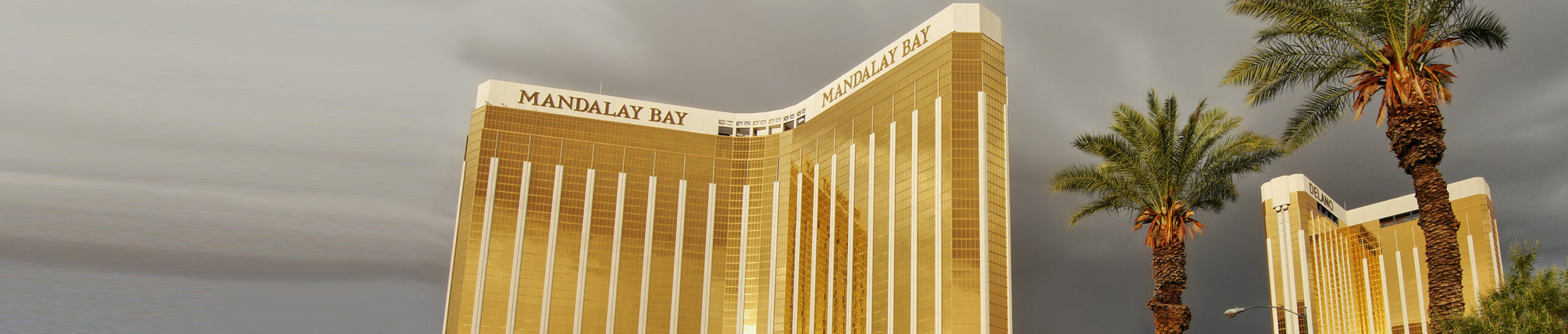 Shoptalk Spring 2025 “Shark Reef” Startup Pitch: Preview—12 Innovators Leveling Up the Customer Experience and Streamlining Operations