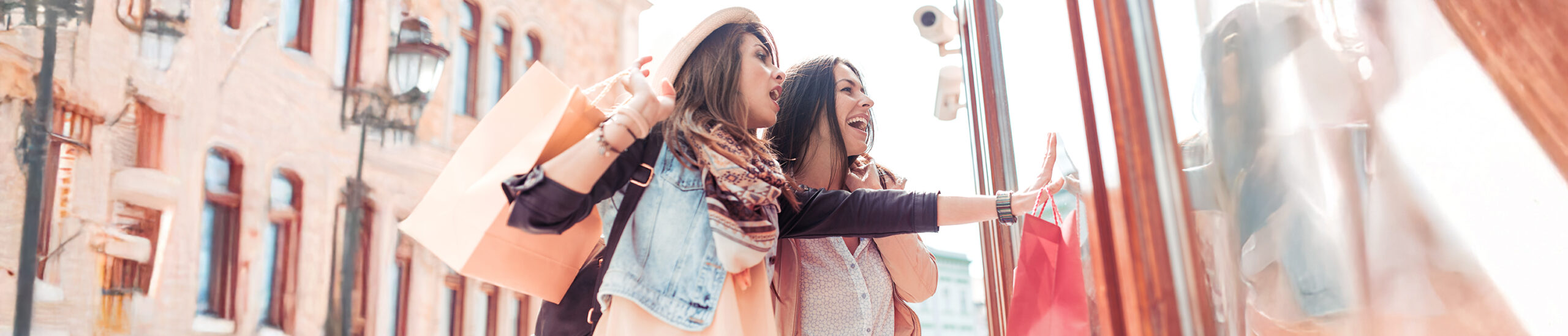 High Income Consumers’ Sentiment Improves; Government Shutdown Impacting Shoppers: US Consumer Survey Insights